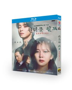 韓国ドラマ Wonderful World / ワンダフルワールド Blu-ray BOX 日本語字幕