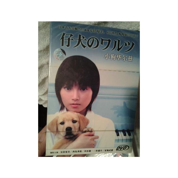 仔犬のワルツ (安倍なつみ、西島秀俊出演) DVD-BOX 激安価格9900円 
